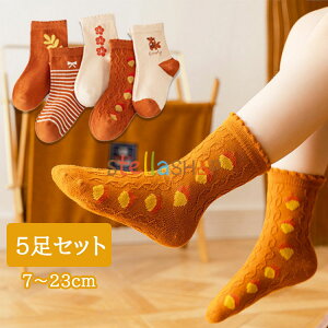 q C 5Zbg \bNX nC\bNX LbY j̎q ̎q xr[ ۈ牀 ct w7`23cm q  킢 q Mtg v[g j  w  O