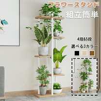 楽天市場】フラワーラック 5段の通販