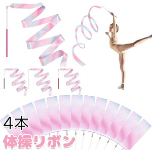 ̑{ 4F4{ 2m _X{ V̑A[g ̑p X|[c AEghA oG{ X|[cp Zp XeBbNt 