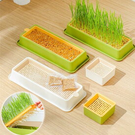 【6%OFFクーポン】容器 猫草栽培鉢皿 鉢台 鉢植え台 猫草プランター 植物シャーレ　プラスチックキャットニップ猫草ボックス 自己散水植物スプラウタートレイ 鉢植え台 観葉植物 鉢植え 植木鉢 1個入 2個入 送料無料 【種の付属なし】