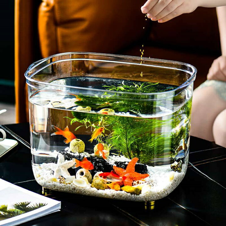 楽天市場】水槽 金魚鉢 おしゃれ 高透明 PET素材 大きいサイズ/特大 