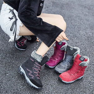 {Au[c Xm[u[c fB[X Ȃ u[c  {A EC^[u[c Xm[u[c h AEghA C 