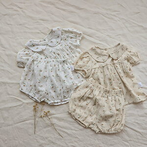 ZbgAbv LbY xr[ ̎q j̎q   Vbgpc q [EFA ㉺Zbg V Ԃ  pW}   a oYj v[g 