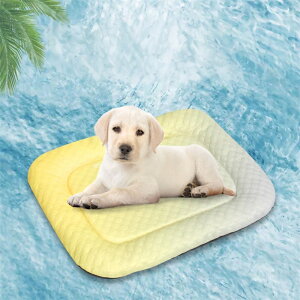 yzybgxbh ybg}bg lGp ėp  lRxbh L   ⊴ ٕ҂ L}bg }bg Lxbh xbh  ʋC ybg}bg Q ҂  Vv