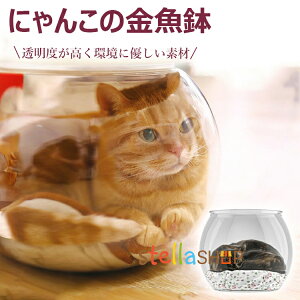 y6%OFFN[|zzIzɂ񂱂̋ L  ybgnEX LnEX p L  qLp ANLیJo[ ̂ŔLώ@ł܂ h~ Փ˖h