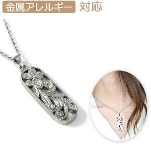 yX3_ȏ20OFFN[|zyʔzAM[Ή yAy_g XN[y_g XN[ nCAWG[ S 316L jbPt[