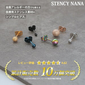 ステンレスピアス