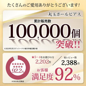 モデル画像