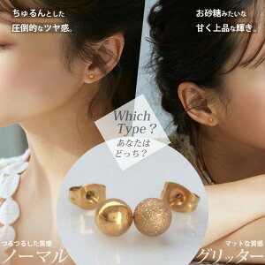 サージカルステンレスピアス