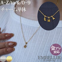 楽天市場】ネックレス イニシャル チャームの通販