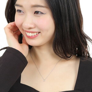 天然ダイヤモンドネックレスサージカルステンレス製クラウンダイヤモンドネックレスダイアモンドペンダント/一粒ダイヤ【あす楽対応】【楽ギフ_包装選択】