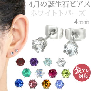 AM[Ή XeXsAX 4̒a 4mm zCggp[YsAX X^bhsAX t@[XgsAX ZJhsAX p