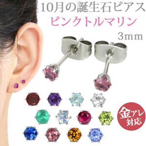 AM[Ή XeXsAX 10̒a 3mmsNg}sAX X^bhsAX t@[XgsAX ZJhsAX p