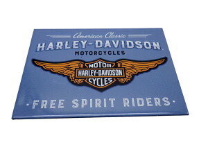 HARLEY DAVIDSON }OlbgXebJ[ Free spirit RIDERS }OlbgV[g