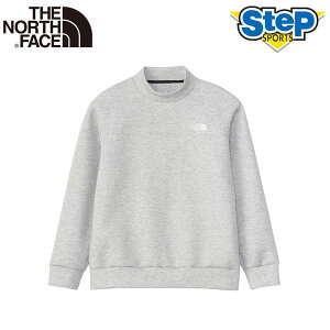 ő6000~OFFN[|zzI9/25 23:59܂ŁIm[XtFCX ebNGA[XEFbgbNlbN NT62484-Z THE NORTH FACE Tech Air Sweat Mock NeckyYz24FW ap-m-shirt