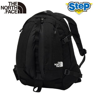 m[XtFCX obNpbN LJW[ NM82550-K THE NORTH FACE Kinkajou 25FW cat-apa-bag