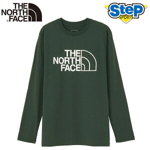 ノースフェイス Tシャツ ロングスリーブイーエスビッグロゴティー NT32580-AL THE NORTH FACE L/S ES Big Logo Tee【メンズ】 25FW ap-m-shirt