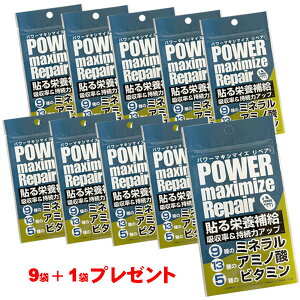 y10/15聚Gg[K{I2l1l|CgobNIzy10܃Zbgzp[}LV}CY yA 10܃Zbg POWER MAXIMIZE REPAIR SET cat-apa-komono
