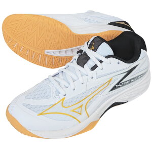 ő6000~OFFN[|zzI11/11 01:59܂ŁI[~Ym] T_[u[hZ V1GA237010 o[{[V[Y yVBz