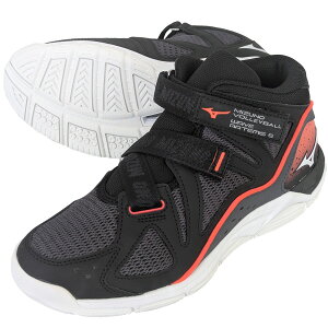 [~Ym] EF[u Ae~X5 WIDE V1GC225855 o[{[V[Y yVBz