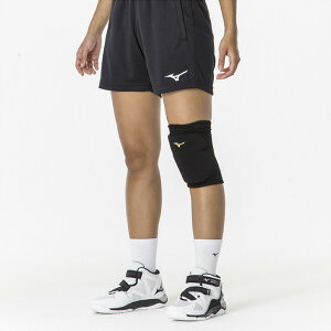 䂤pPbg [~Ym] EBYGT|[^[yn[hpbhz V2MYA20095.F o[{[ yVBz