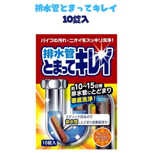 rǂƂ܂ăLC 6g×10 pCv r  gC  VN XeBbN^Cv  _ rǑ| | |ObY l܂ ra l܂ y10z