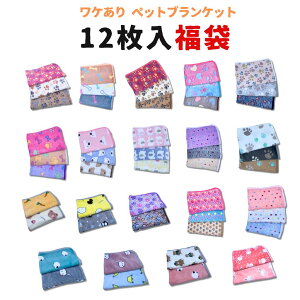 5 Pybg uPbg 12  xbh~ _炩 t[Xf  L RR Q xbht[X 킢 傫 ^ QSn  ʒuႢ 炩