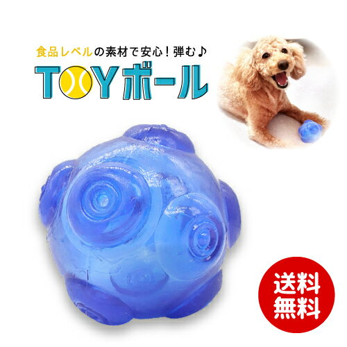 楽天市場 ワケあり商品 ペット おもちゃ ボール ゴム 噛むペットボール ペット玩具 犬 ワンちゃ 耐久性 シリコン 安心 安全 トレーニング 生え変わり子犬 小型犬 大型犬 必需品 楽しい 遊ぶ跳ねる不規則 玩具ボール 敬老の日 Stepmarket 楽天市場店