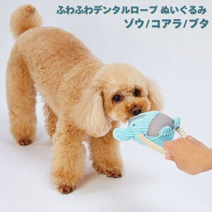 ӂӂf^[vʂ ]E RA u^   p bV@ۂŎ̉ꏜ ^ ^ ybg s[s[J T|[g |