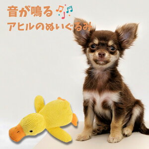 ySS10%Itz Aq̂ʂ p ^ q ^  ėV ŗV ybg ybgpi   ybgp ʂ y  