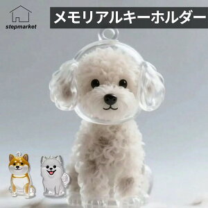 ySS10%ItzAL[z_[ Č |jA efB ybgI[i[ L[z_[ ̖юW obOANZT[ L[z_[ Mtg ybgDƌ  킢 N