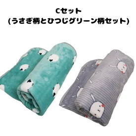 1000円ポッキリ 送料無料 ふかふか ペットブランケット 2枚セット │ 犬 猫 ペット 子犬 子猫 cat dog ふかふか ブランケット 布団 クッション あたたかい あったかい かわいい柄
