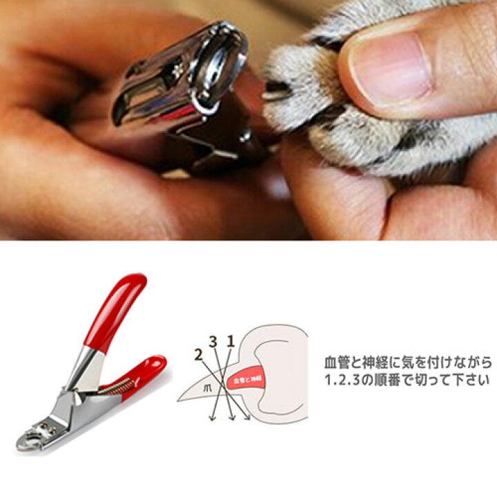 楽天市場 ペット用爪切り 爪切り ネイルカッター 犬用 猫用 ネイルクリッパー お手入れ ペット ネイルケア 爪 つめ ツメ バネ式 ギロチン 爪犬 巻き爪 ペット爪やすり ペット爪 爪割れ補修 爪みがき ペット爪お手入れ 巻き爪犬 爪 犬 割れる 敬老の日 ポイント消化 母の