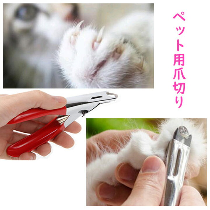 楽天市場 ペット用爪切り 爪切り ネイルカッター 犬用 猫用 ネイルクリッパー お手入れ ペット ネイルケア 爪 つめ ツメ バネ式 ギロチン 爪犬 巻き爪 ペット爪やすり ペット爪 爪割れ補修 爪みがき ペット爪お手入れ 巻き爪犬 爪 犬 割れる 敬老の日 ポイント消化 母の