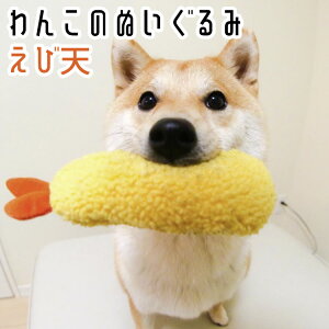 p ѓV ʂ Ȃ ̏o邨  XgX GrV ybgpi CVV ^ ^ V ybggC ݊