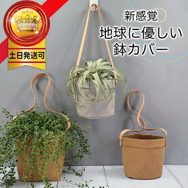 楽天市場 観葉植物 ハンギング バスケット 花 ガーデン Diy の通販
