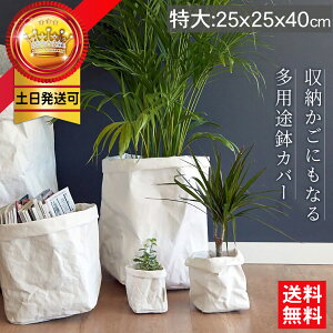 4号 観葉植物 鉢の人気商品 通販 価格比較 価格 Com