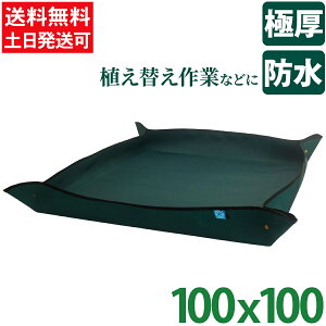 |V[g h 100 K[fjO O[  Aւ 傫 傫 K[fjOg[V[g K[fjOV[g