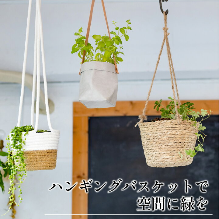 楽天市場 3 Offクーポン発行中 ハンギング 鉢カバー バスケット グレー 観葉植物 室内 鉢カバー吊り下げ オシャレ おしゃれ ハンギングポット ハンギングプランター マクラメ 園芸用品専門店 Step One 楽天市場 3 Offクーポン発行中 ハンギング 鉢カバー バスケット グレー 観葉植物 室内 鉢カバー吊り下げ オシャレ おしゃれ ハンギングポット ハンギングプランター マクラメ 園芸用品専門店 Step One