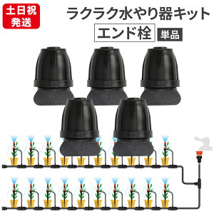 yP2{!z  i Gh 5Zbg Leaf88