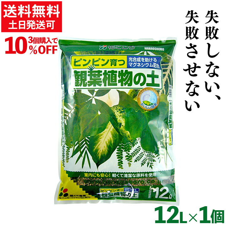 楽天市場 5 9 月 限定 P10倍 観葉植物の土 12l 花ごころ 観葉植物 土 室内 大型 園芸 培養土 プランター おすすめ あす楽 母の日 父の日 プレゼント 日用雑貨 Step One 楽天市場 5 9 月 限定 P10倍 観葉植物の土 12l 花ごころ 観葉植物 土 室内 大型 園芸 培養土 プランター おすすめ あす楽 母の日 父の日 プレゼント 日用雑貨 Step One