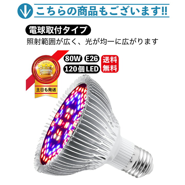 楽天市場 P2倍 スーパーセールクーポン配布中 植物育成ライト Led 3灯 クリップ 観葉植物 植物育成ライト3灯 タイマー 植物 成長 Led 植物育成 太陽光 植物用 多肉植物 植物工場 育つ 波長 室内栽培 園芸用品専門店 Step One 楽天市場 P2倍 スーパーセールクーポン配布中 植物育成ライト Led 3灯 クリップ 観葉植物 植物育成ライト3灯 タイマー 植物 成長 Led 植物育成 太陽光 植物用 多肉植物 植物工場 育つ 波長 室内栽培 園芸用品専門店 Step One