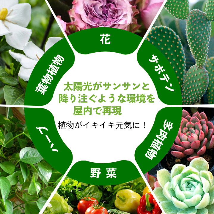 楽天市場 植物育成ライト Led 4灯 クリップ 観葉植物 防水 植物 成長 Led 植物育成 太陽光 植物用 多肉植物 植物工場 育つ 波長 室内栽培 水耕栽培 タイマー 園芸用品専門店 Step One 楽天市場 植物育成ライト Led 4灯 クリップ 観葉植物 防水 植物 成長 Led 植物育成 太陽光 植物用 多肉植物 植物工場 育つ 波長 室内栽培 水耕栽培 タイマー 園芸用品専門店 Step One