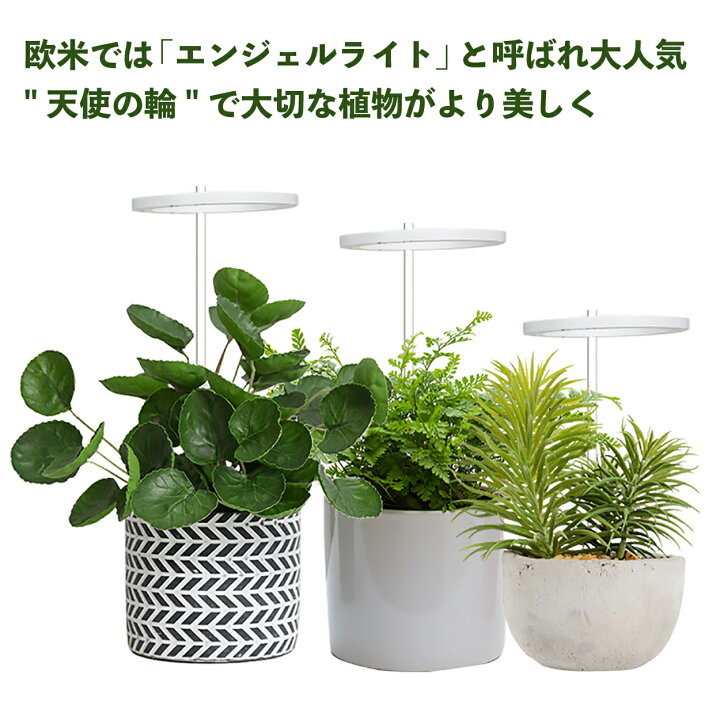 楽天市場 植物育成ライト Led 太陽光 おしゃれ スタンド 多肉植物 観葉植物 Led 植物育成 タイマー 太陽光 観葉植物育成ライト 多肉 植物用 育成 ライト Ledライト 水槽 園芸用品専門店 Step One