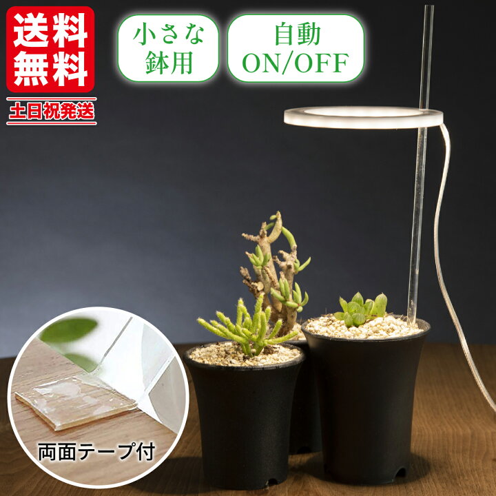 楽天市場】【P5倍&5%割引クーポン対象☆お買い物マラソン】 植物育成 