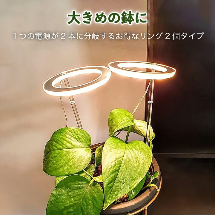 楽天市場 植物育成ライト Led 太陽光 リング2個観葉植物 おしゃれ 多肉植物 Led 植物育成 タイマー 観葉植物育成ライト 多肉 植物用 育成 ライト Ledライト 園芸用品専門店 Step One