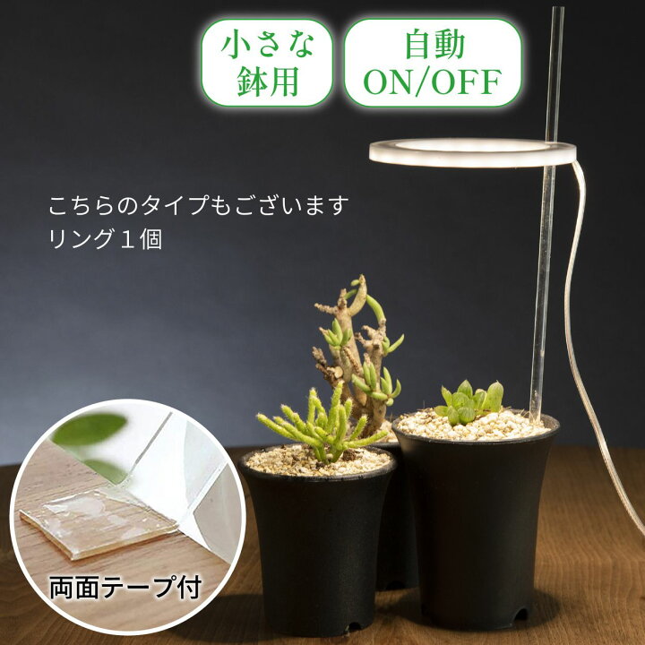 楽天市場】【P2倍&5%OFFクーポン対象！マラソン限定！】 植物育成 