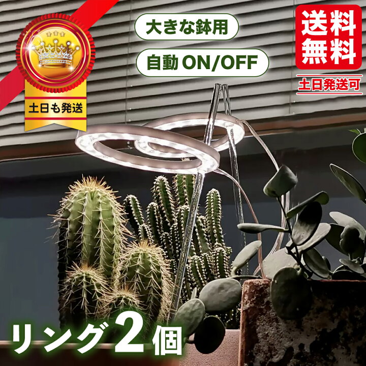 楽天市場 植物育成ライト Led 太陽光 リング2個観葉植物 おしゃれ 多肉植物 Led 植物育成 タイマー 観葉植物育成ライト 多肉 植物用 育成 ライト Ledライト 園芸用品専門店 Step One