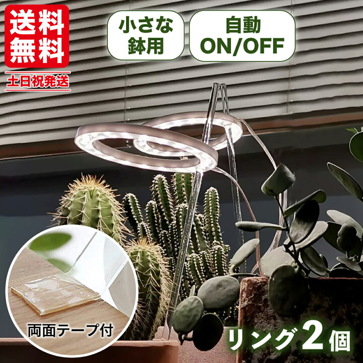 楽天市場】【P2倍&5%OFFクーポン対象！マラソン限定！】 植物育成 