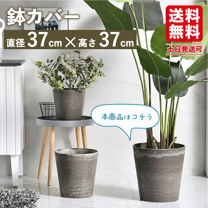 観葉植物 大型 おしゃれ 鉢の人気商品 通販 価格比較 価格 Com